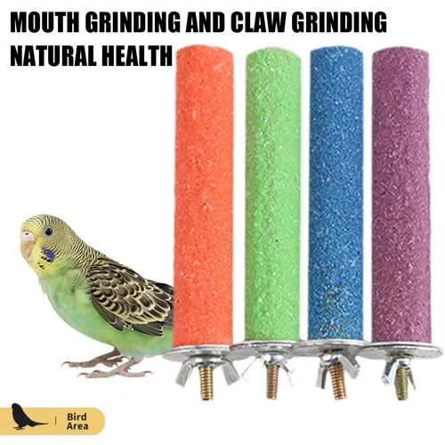 Bird perch beak claw - perch,
