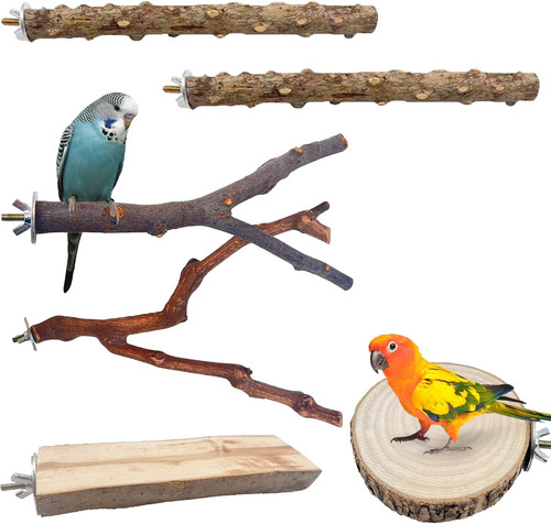 Pcs bird perches for - 6,