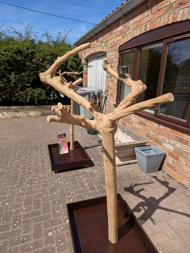 Parrot stand kiln dried coffee - dried,