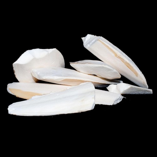 Premium cuttlefish pieces for - pieces,