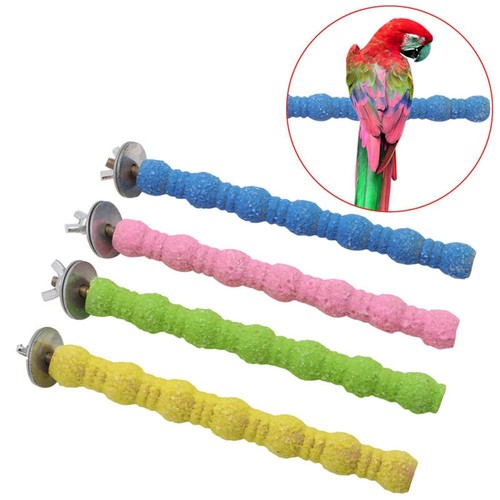 1xtrimming perch beak - perch, claw