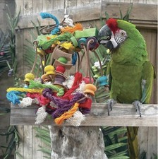 Sisal Invader Parrot Toy