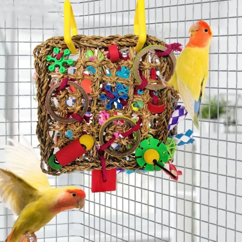 Bird climbing net parrot - bird,
