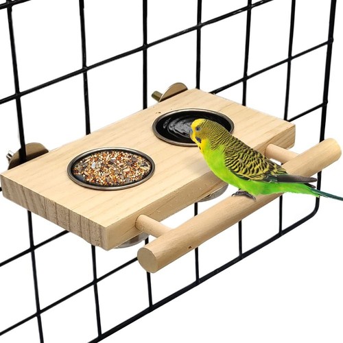 Bird feeding dish cups parrot - bird,