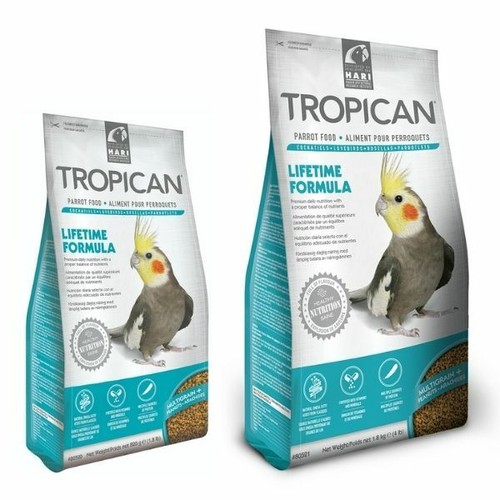 Hari tropican cockatiel - tropican,