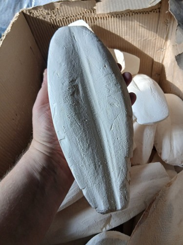 Extra large fat cuttlefish - large,