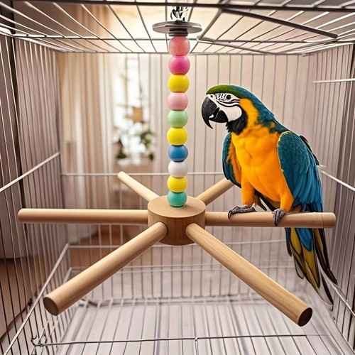 Colorful bird perch - toy, parrot