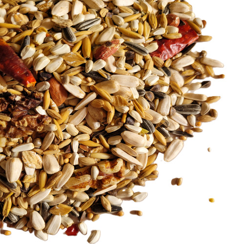 Conure mix 350g 1kg - conure, 2.5kg