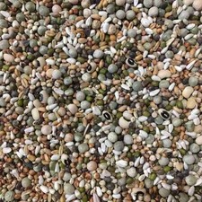 Mixed pulses soaking sprouting