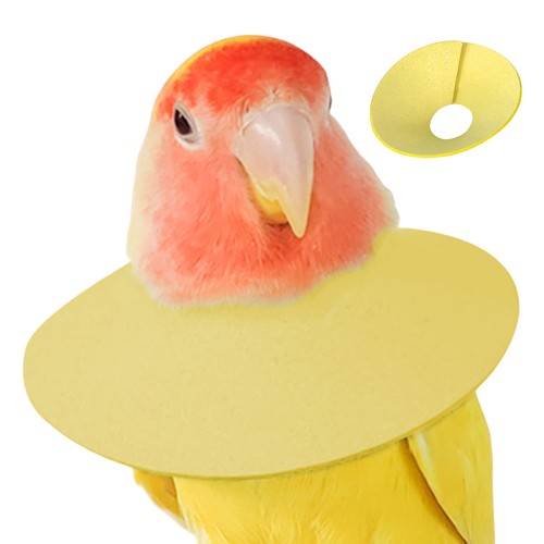 Bird cone collar for - for, plucking